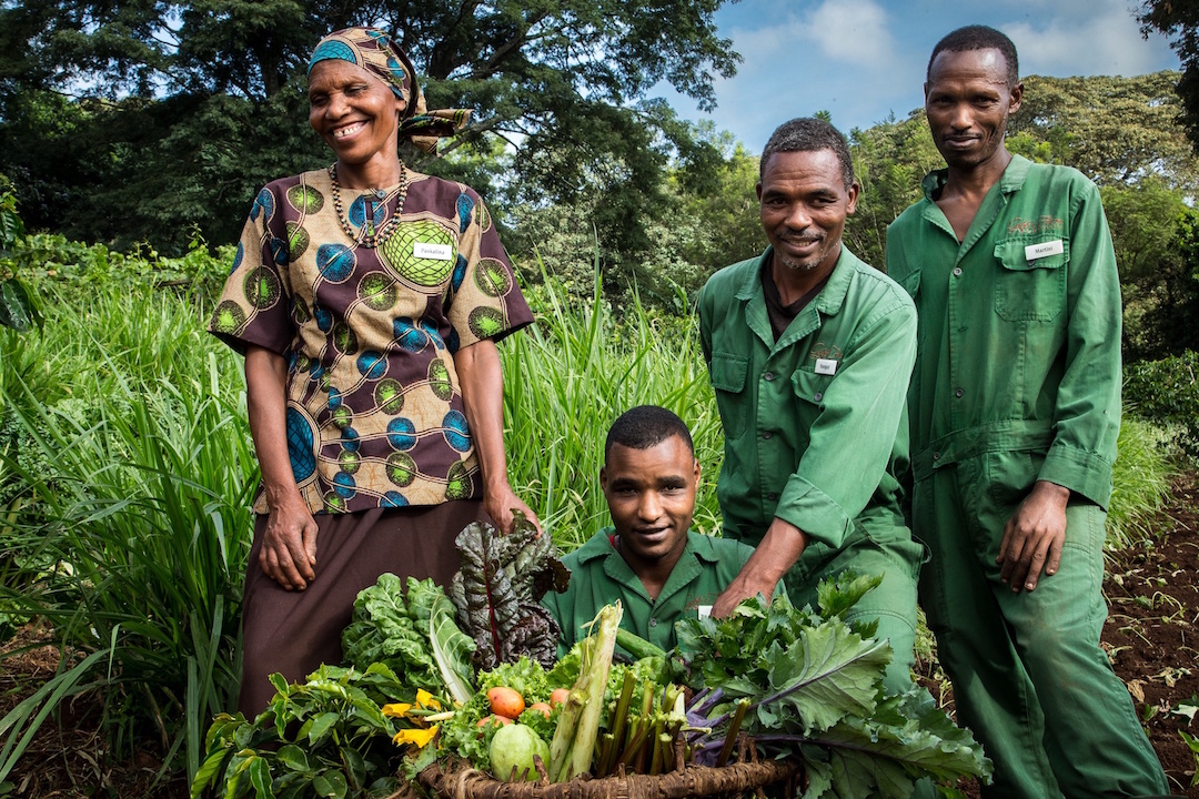 Vegetable Garden Team - small