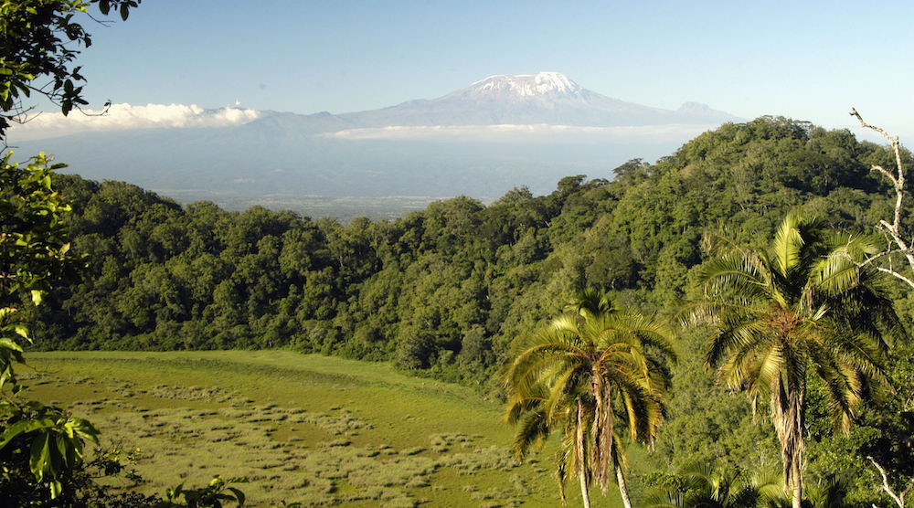 Blick in den Krater vom Kilimanjaro Aussichtspunkt