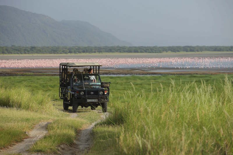 Manyara Tree Lodge 2014-62