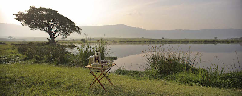 Ngorongoro crater lodge gamedrive2