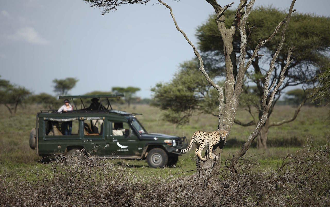 Serengeti UC 2014-154