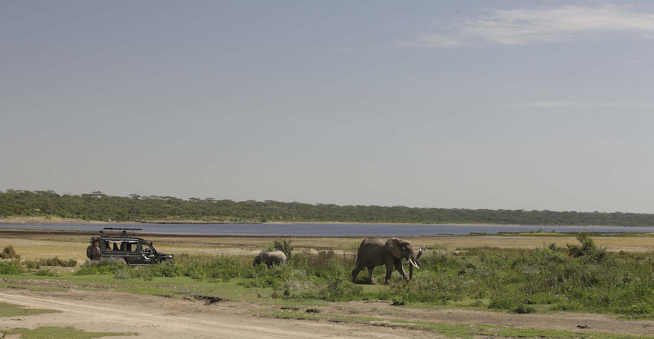 Serengeti UC 2014-170