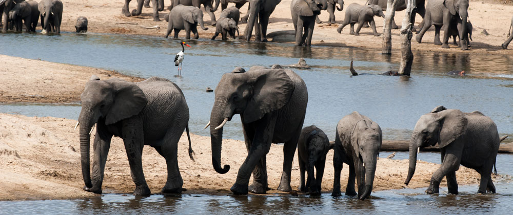 ulusaba-cliff-5